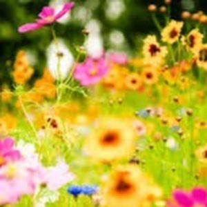 Meet your Posher, Jaida